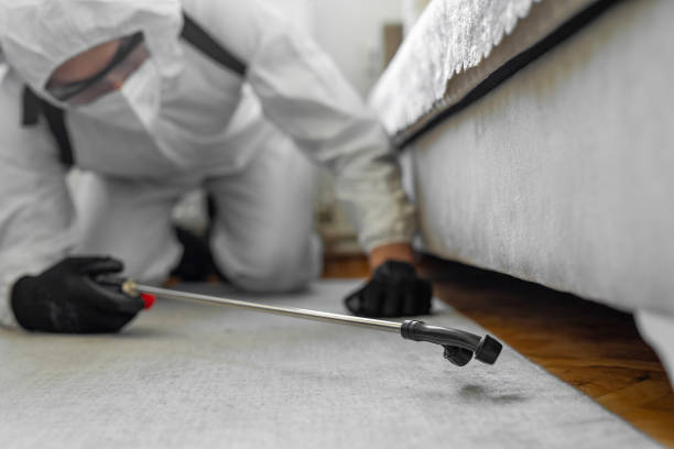 Professional Bed Bug Control technician working in Cherokee, OK